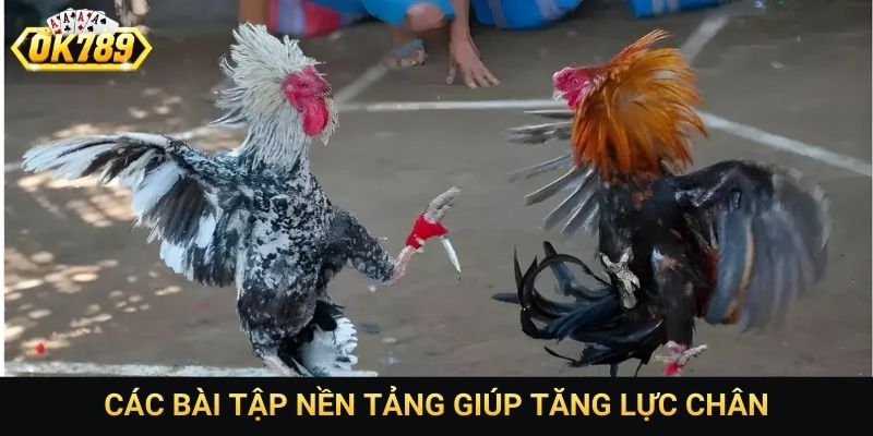 Các bài tập nền tảng giúp tăng lực chân