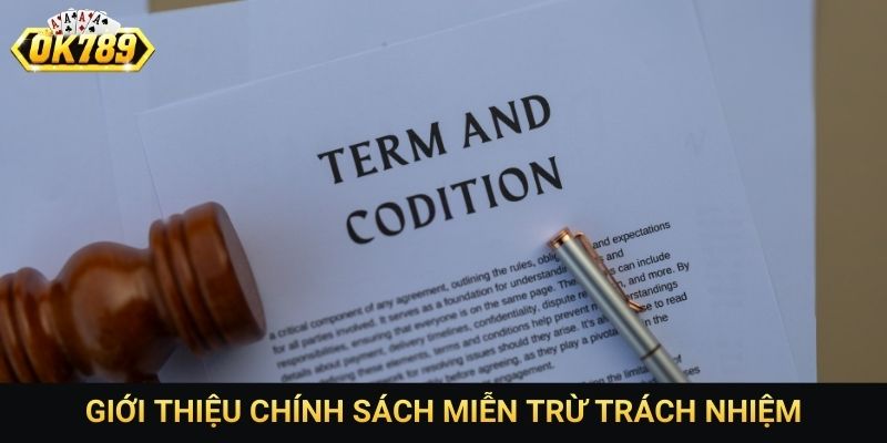 Giới thiệu chính sách miễn trừ trách nhiệm
